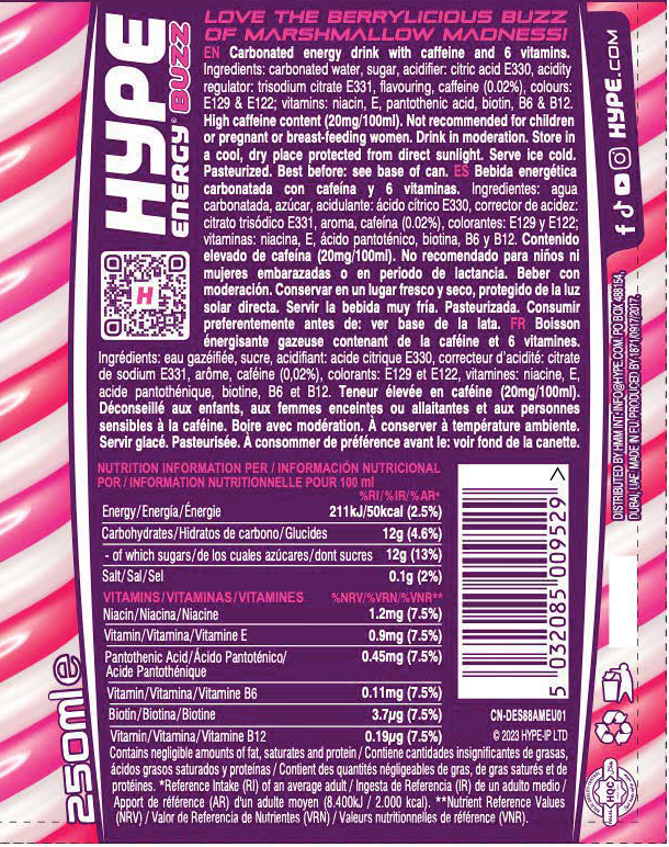 BUZZ Red Berry Madness 12x250ml - Hype Energy UK